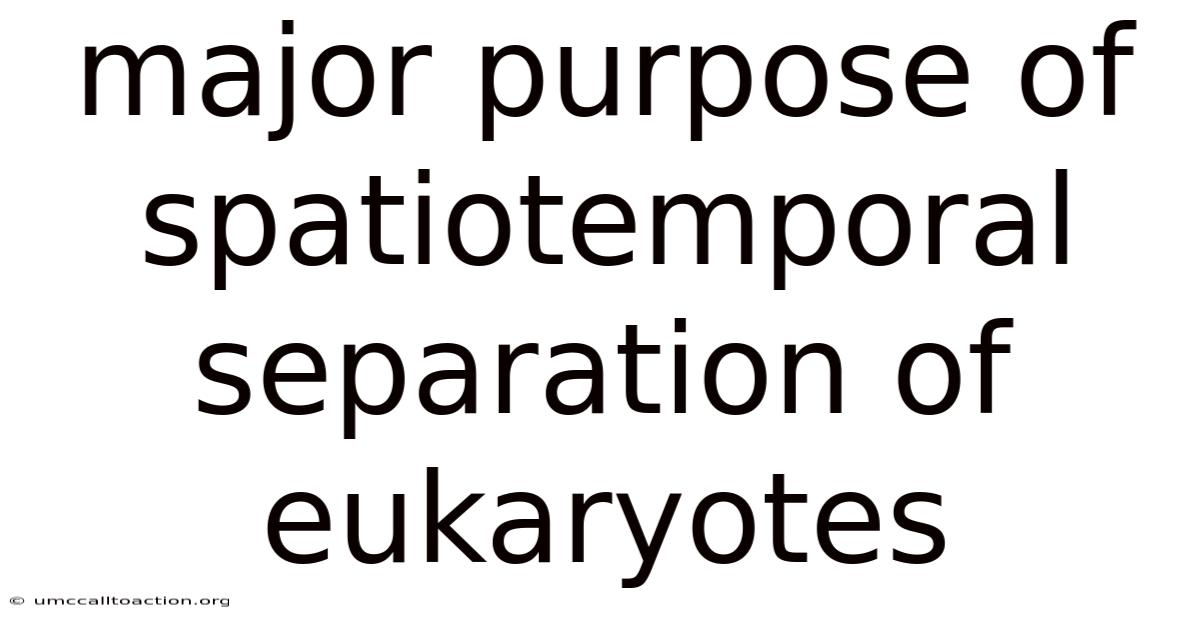 Major Purpose Of Spatiotemporal Separation Of Eukaryotes