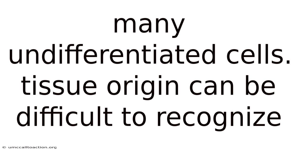 Many Undifferentiated Cells. Tissue Origin Can Be Difficult To Recognize