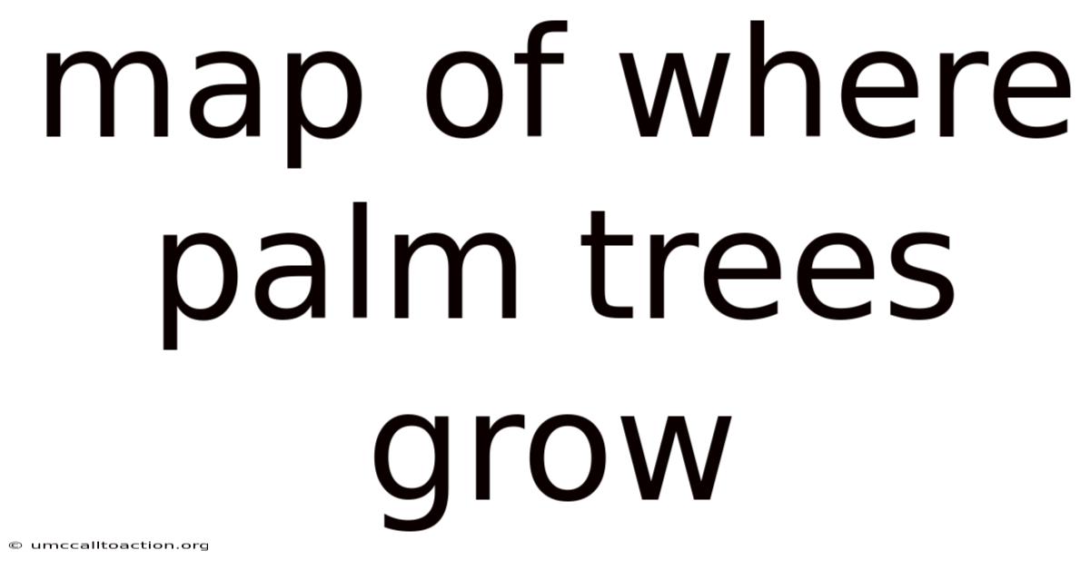Map Of Where Palm Trees Grow