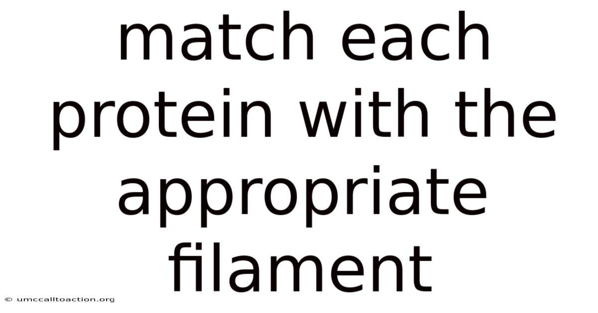 Match Each Protein With The Appropriate Filament