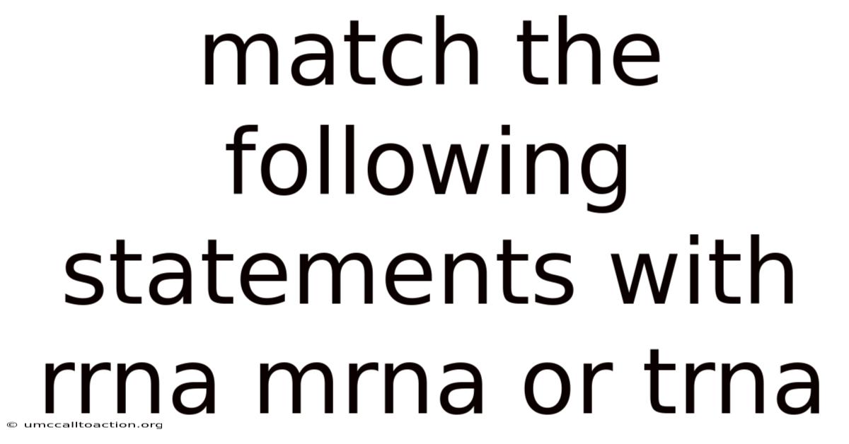 Match The Following Statements With Rrna Mrna Or Trna