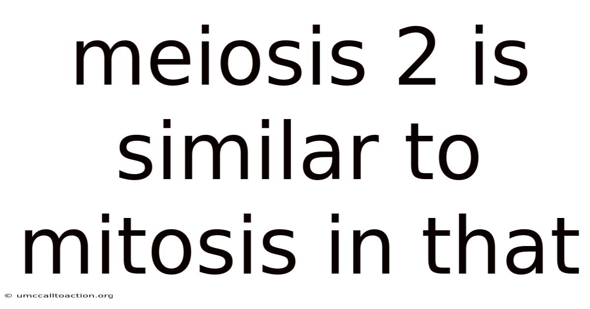 Meiosis 2 Is Similar To Mitosis In That