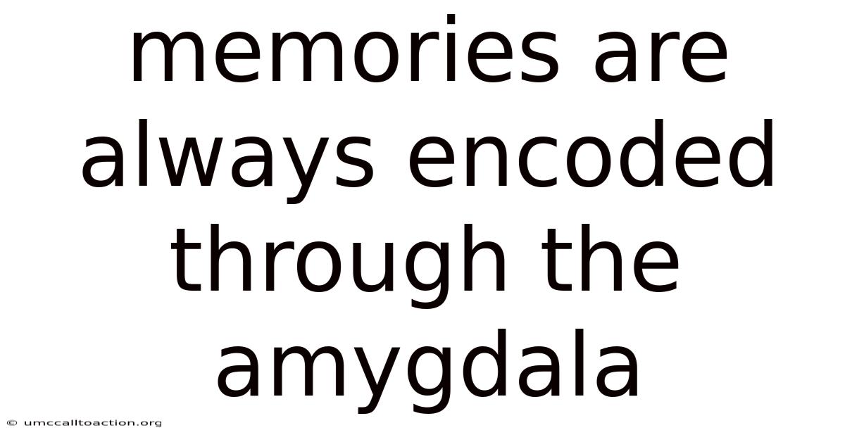 Memories Are Always Encoded Through The Amygdala