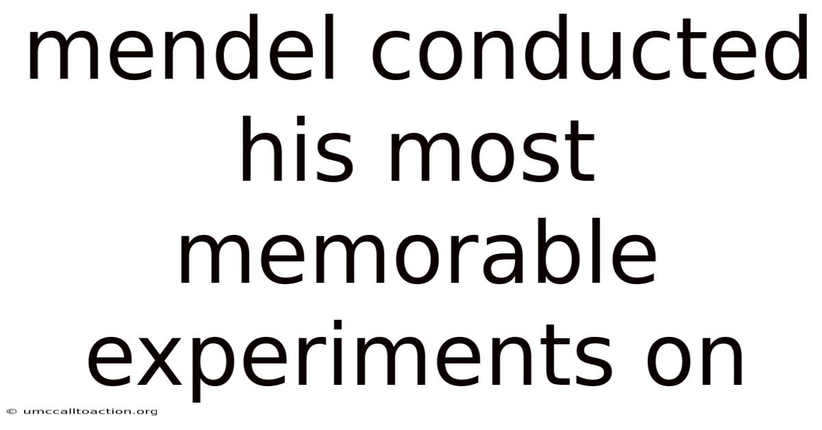 Mendel Conducted His Most Memorable Experiments On