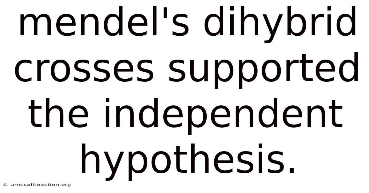 Mendel's Dihybrid Crosses Supported The Independent Hypothesis.