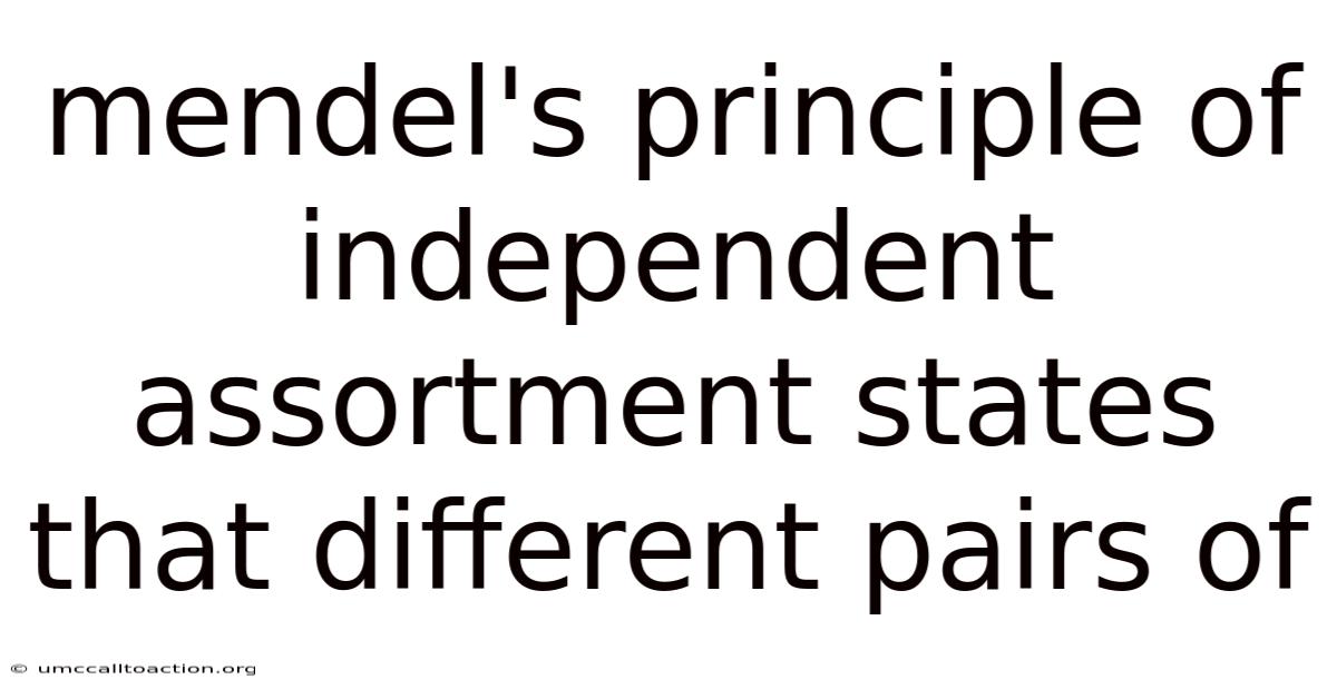 Mendel's Principle Of Independent Assortment States That Different Pairs Of