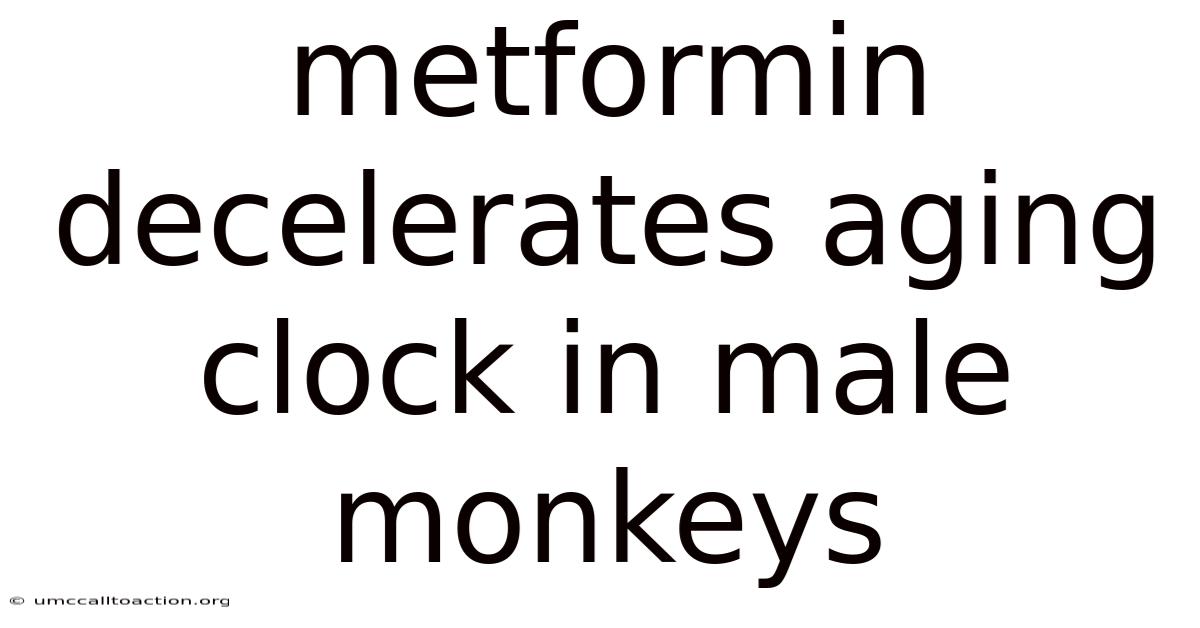 Metformin Decelerates Aging Clock In Male Monkeys