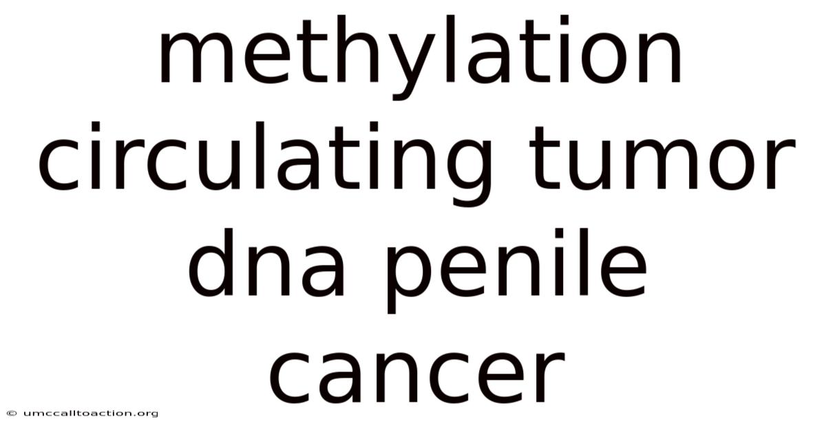 Methylation Circulating Tumor Dna Penile Cancer