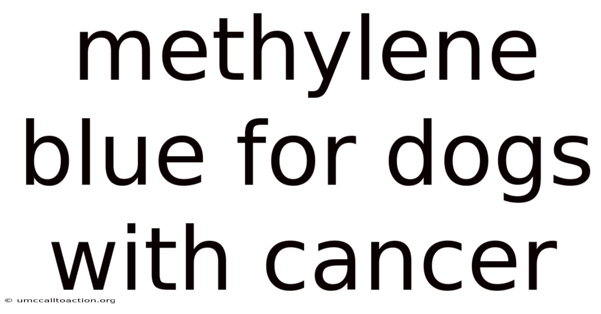 Methylene Blue For Dogs With Cancer