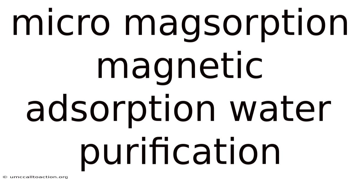 Micro Magsorption Magnetic Adsorption Water Purification