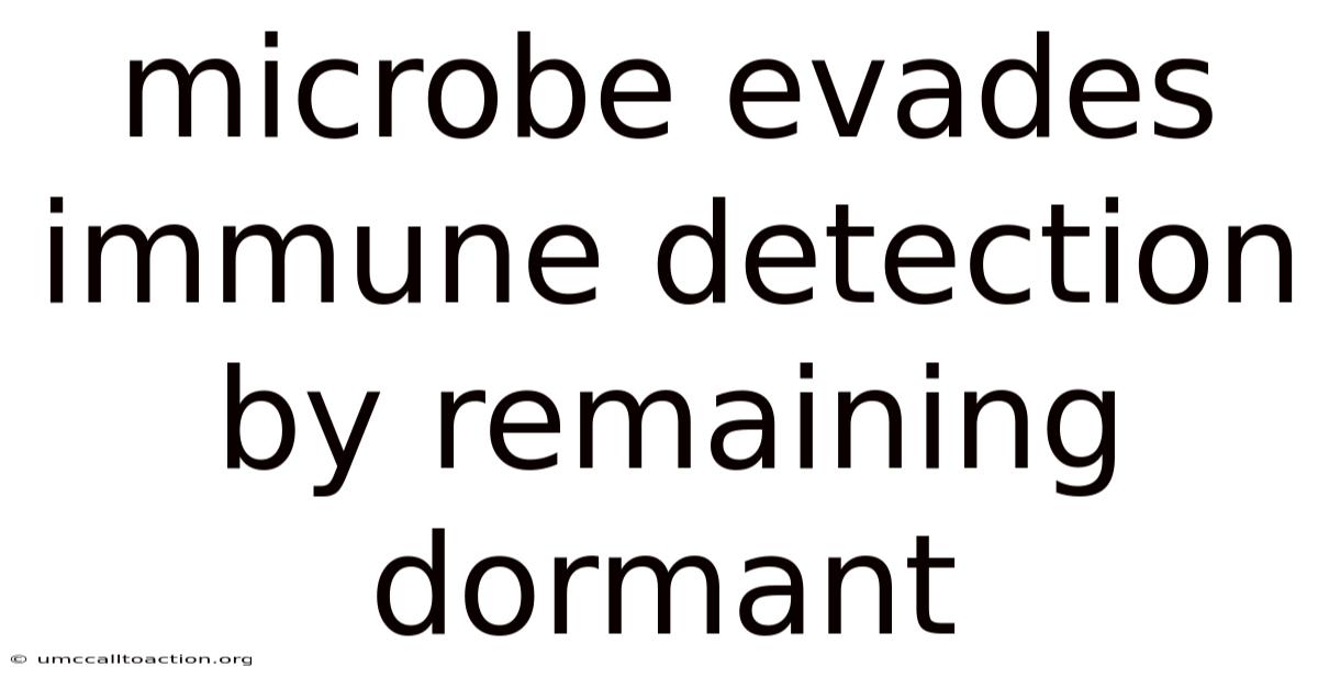 Microbe Evades Immune Detection By Remaining Dormant