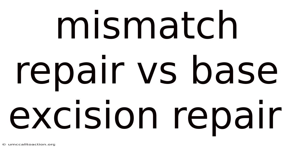 Mismatch Repair Vs Base Excision Repair
