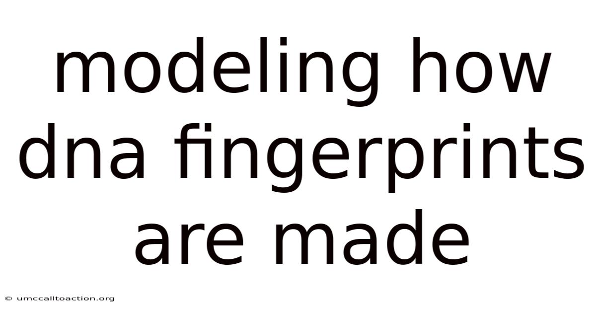 Modeling How Dna Fingerprints Are Made
