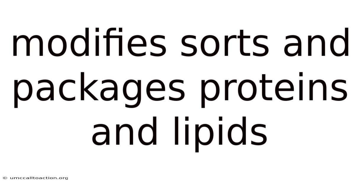 Modifies Sorts And Packages Proteins And Lipids