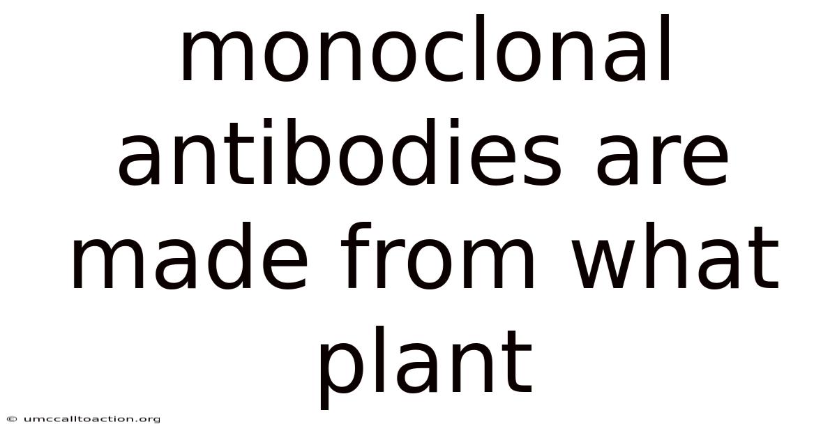 Monoclonal Antibodies Are Made From What Plant