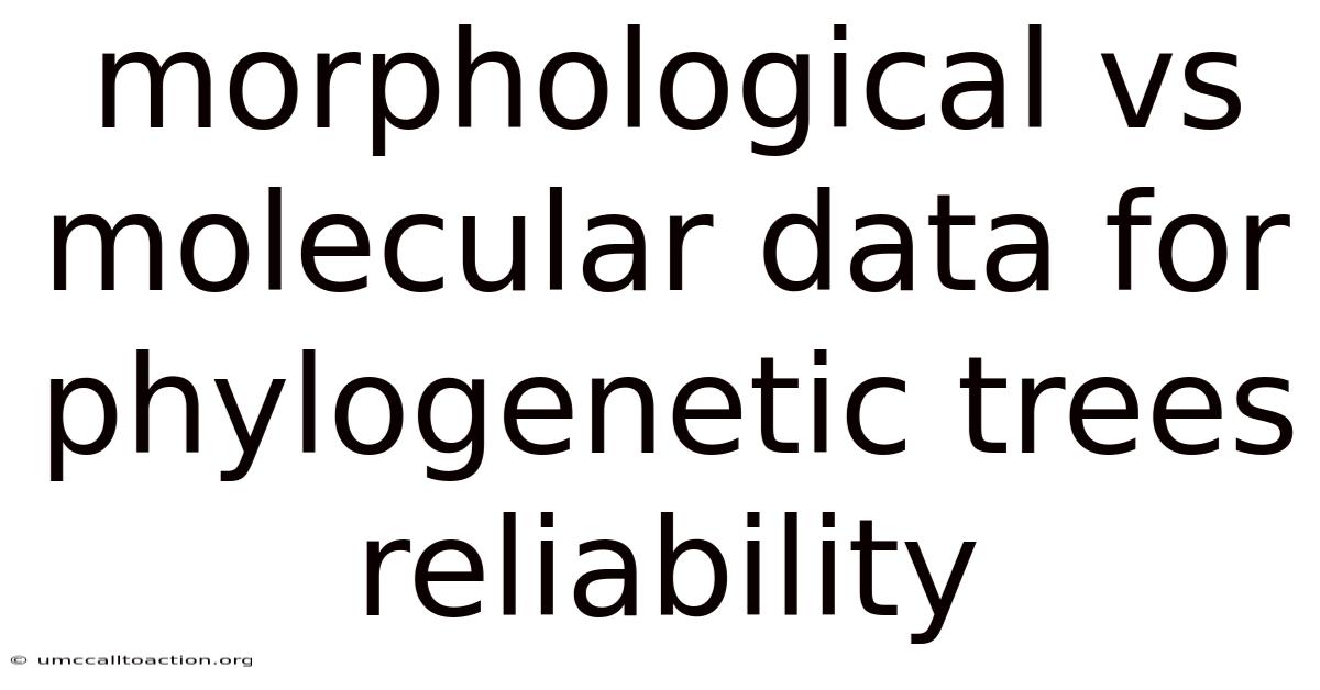 Morphological Vs Molecular Data For Phylogenetic Trees Reliability