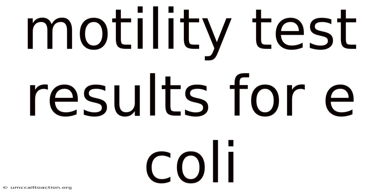 Motility Test Results For E Coli