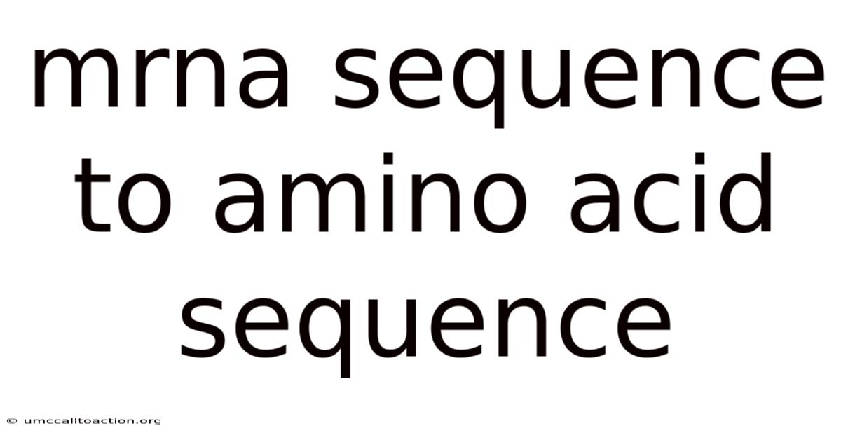 Mrna Sequence To Amino Acid Sequence