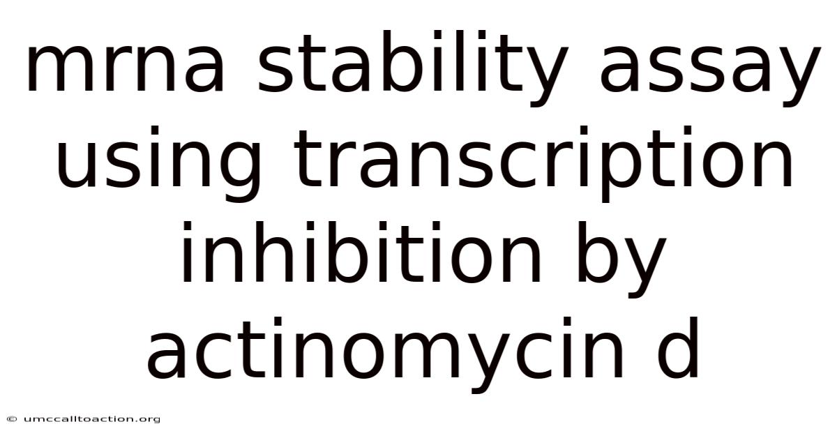 Mrna Stability Assay Using Transcription Inhibition By Actinomycin D