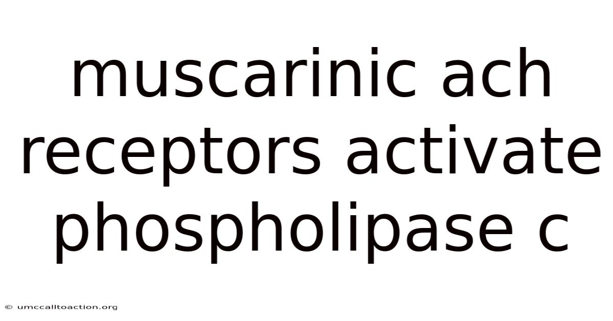 Muscarinic Ach Receptors Activate Phospholipase C