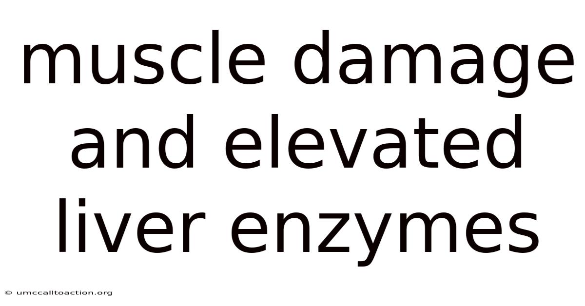 Muscle Damage And Elevated Liver Enzymes