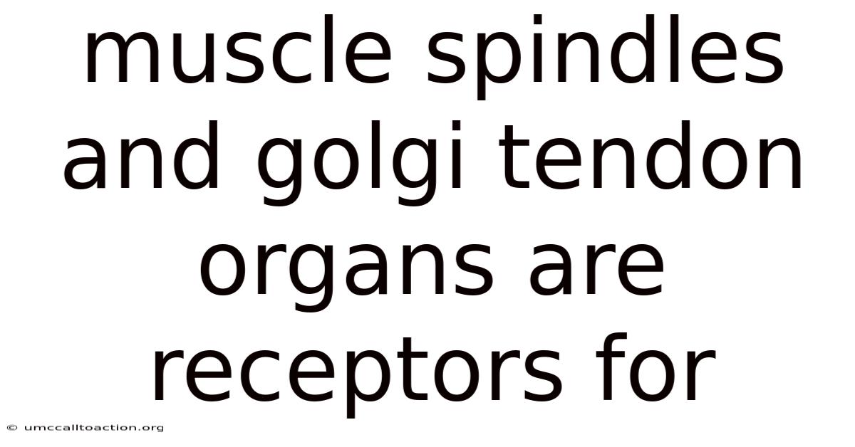 Muscle Spindles And Golgi Tendon Organs Are Receptors For
