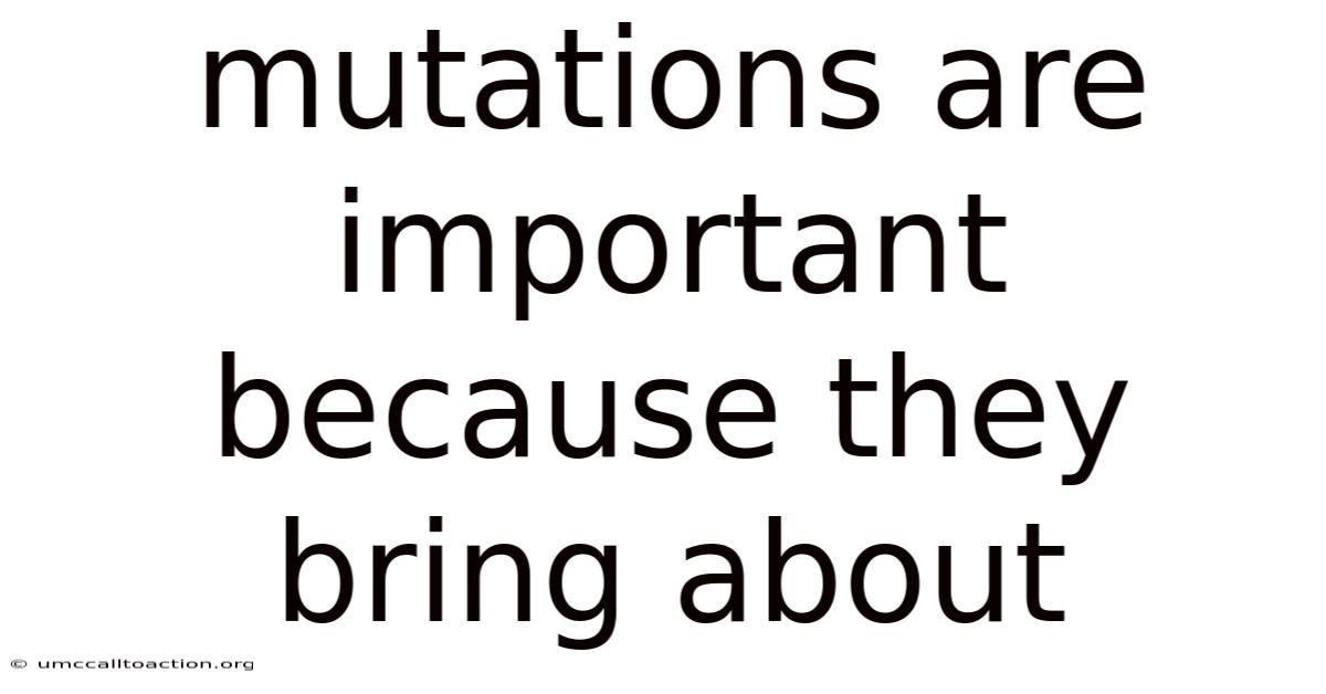 Mutations Are Important Because They Bring About