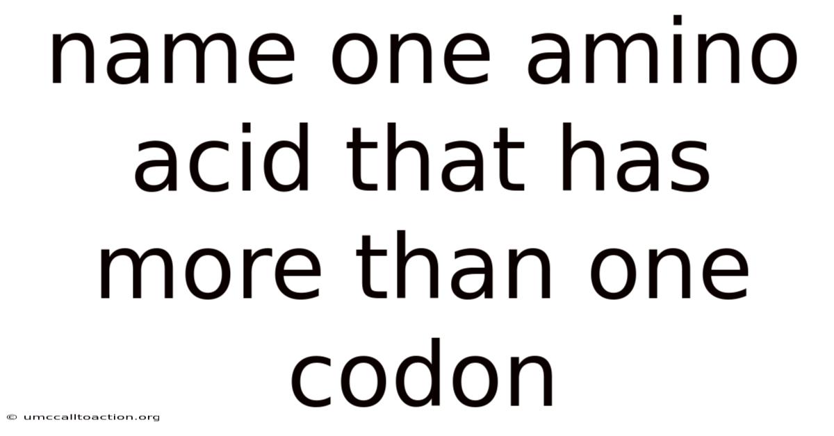 Name One Amino Acid That Has More Than One Codon