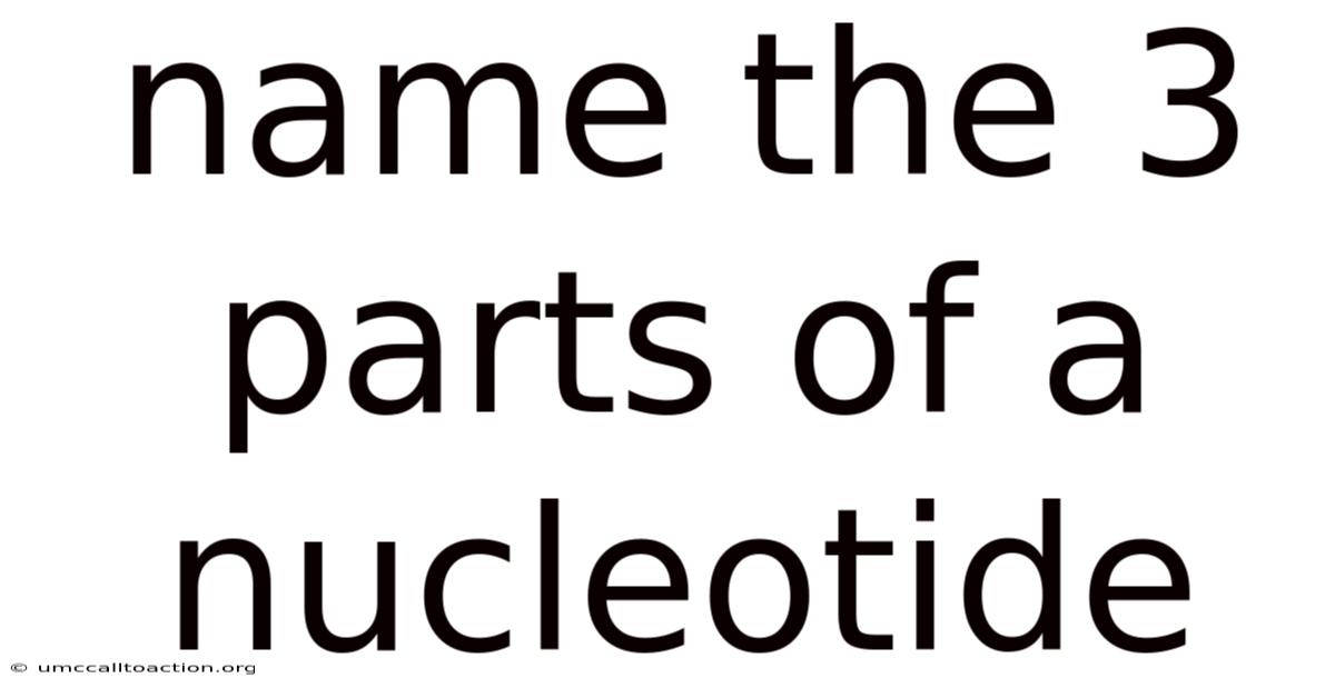 Name The 3 Parts Of A Nucleotide
