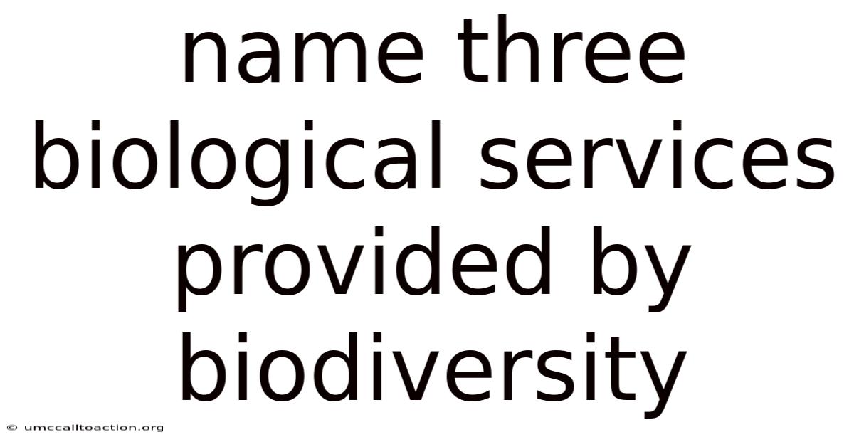 Name Three Biological Services Provided By Biodiversity