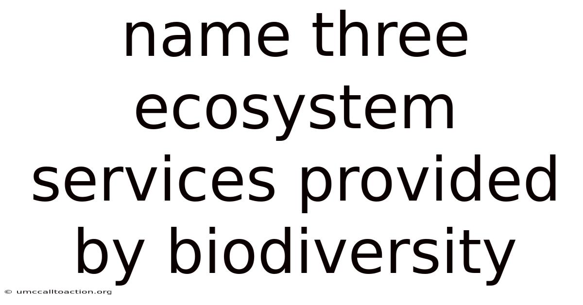 Name Three Ecosystem Services Provided By Biodiversity