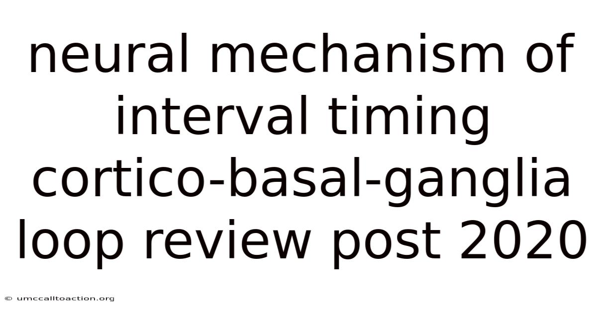 Neural Mechanism Of Interval Timing Cortico-basal-ganglia Loop Review Post 2020