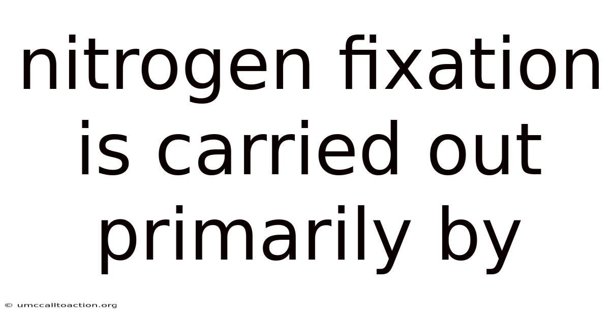 Nitrogen Fixation Is Carried Out Primarily By