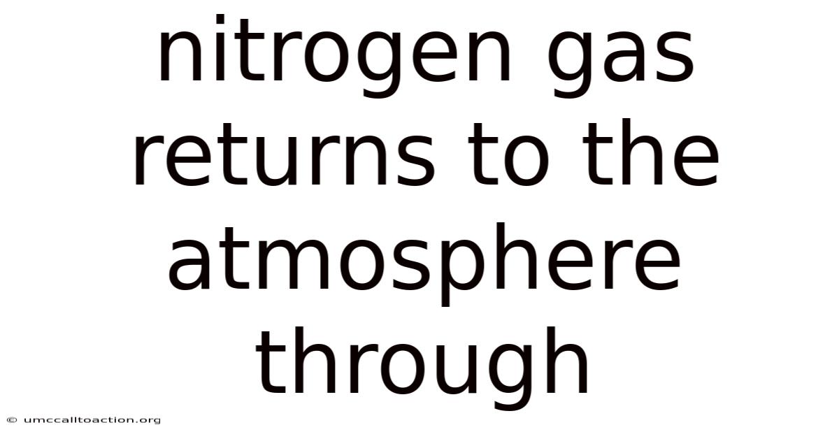Nitrogen Gas Returns To The Atmosphere Through