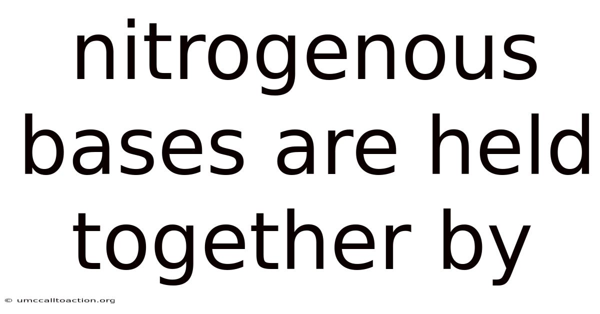 Nitrogenous Bases Are Held Together By