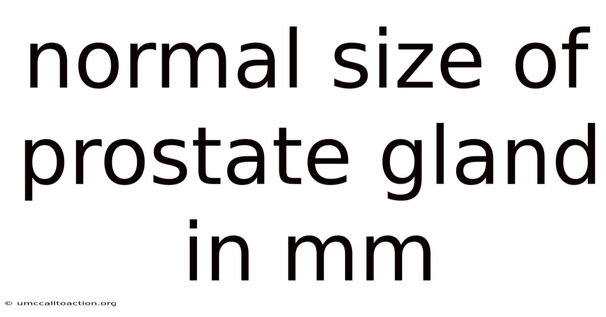 Normal Size Of Prostate Gland In Mm