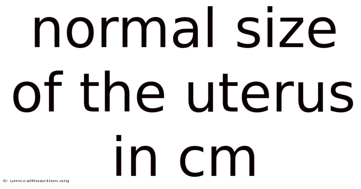 Normal Size Of The Uterus In Cm