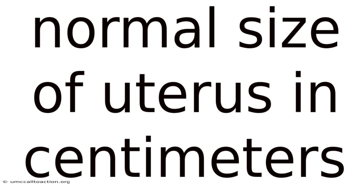 Normal Size Of Uterus In Centimeters