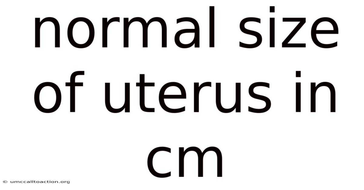 Normal Size Of Uterus In Cm
