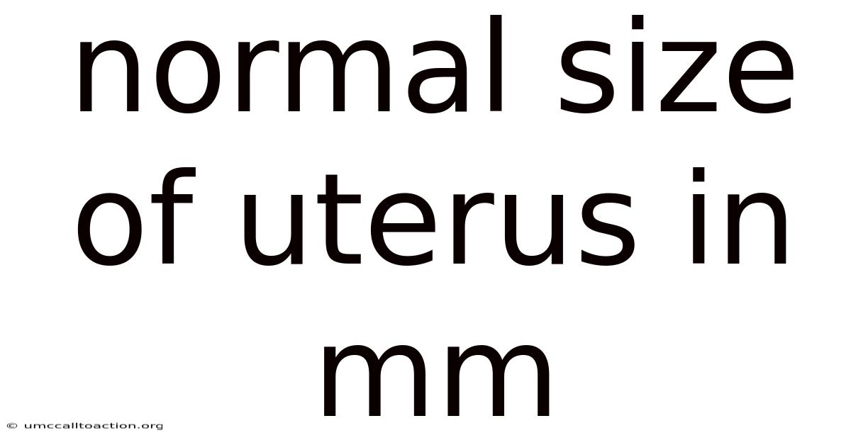 Normal Size Of Uterus In Mm