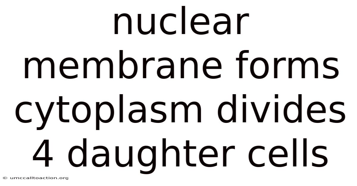 Nuclear Membrane Forms Cytoplasm Divides 4 Daughter Cells