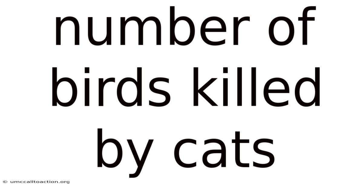 Number Of Birds Killed By Cats