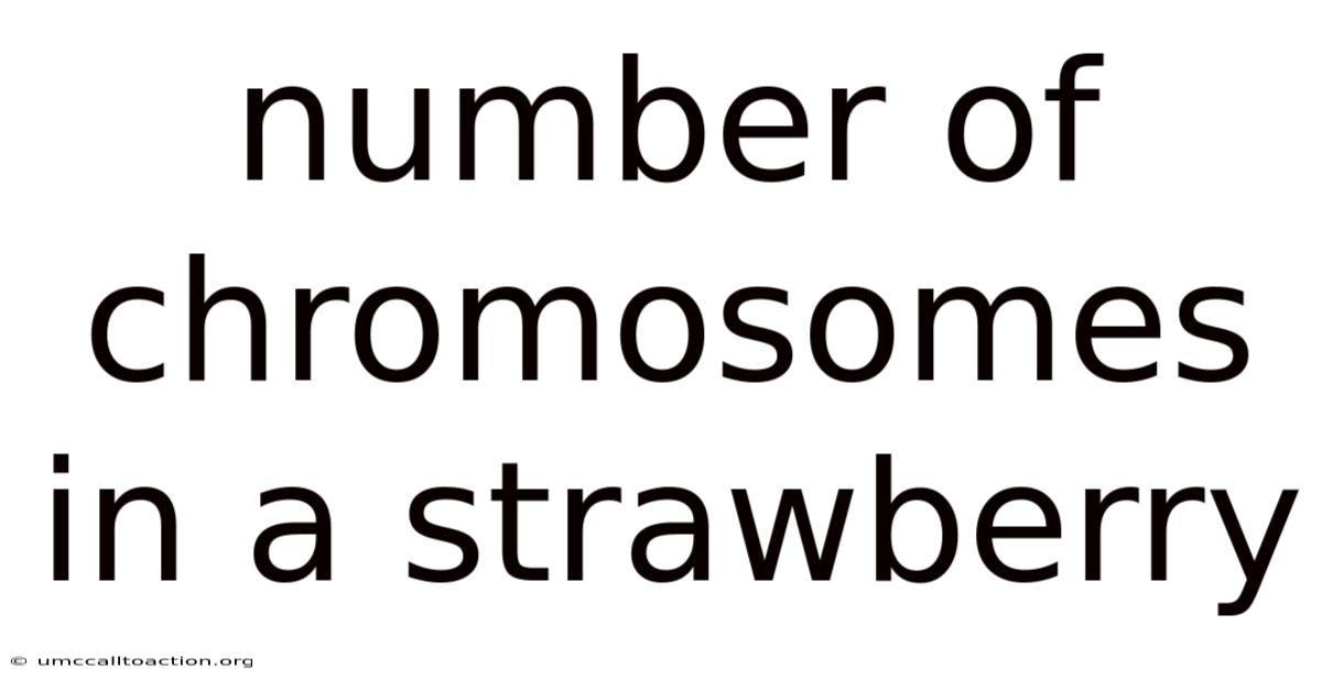 Number Of Chromosomes In A Strawberry