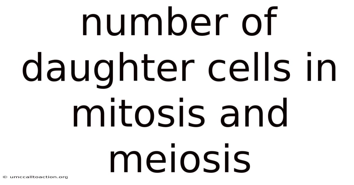 Number Of Daughter Cells In Mitosis And Meiosis