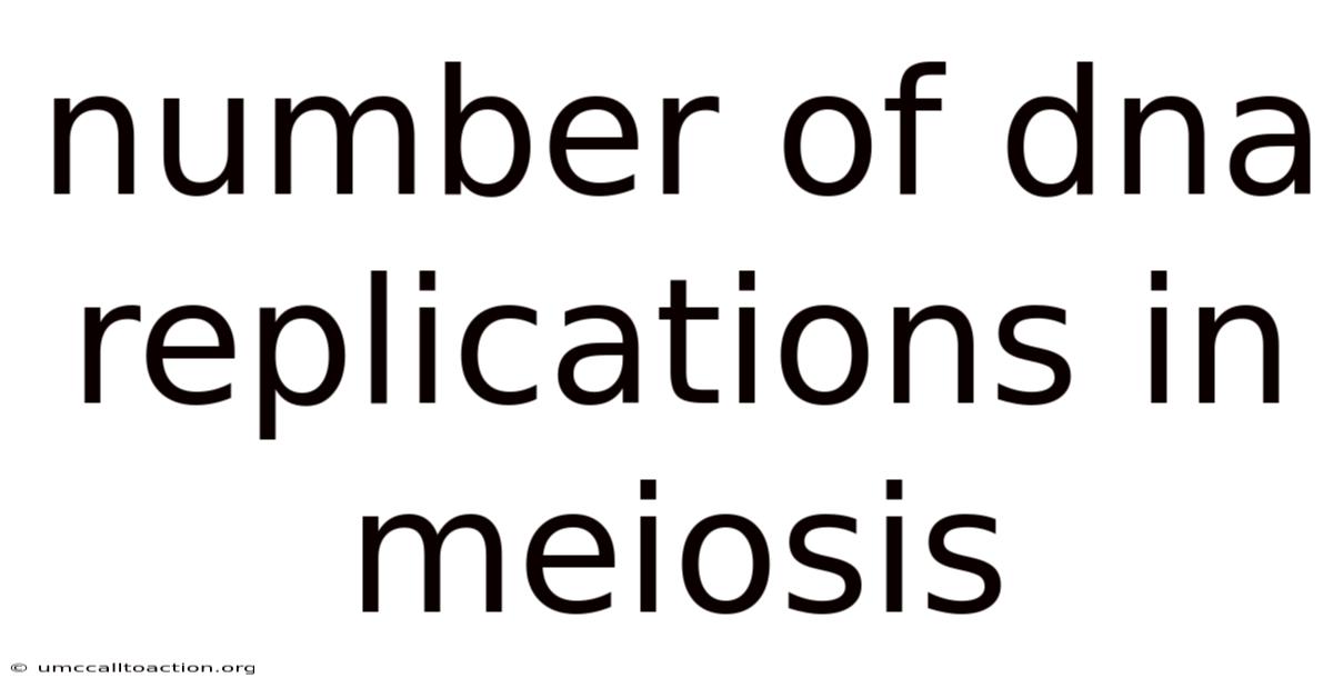 Number Of Dna Replications In Meiosis