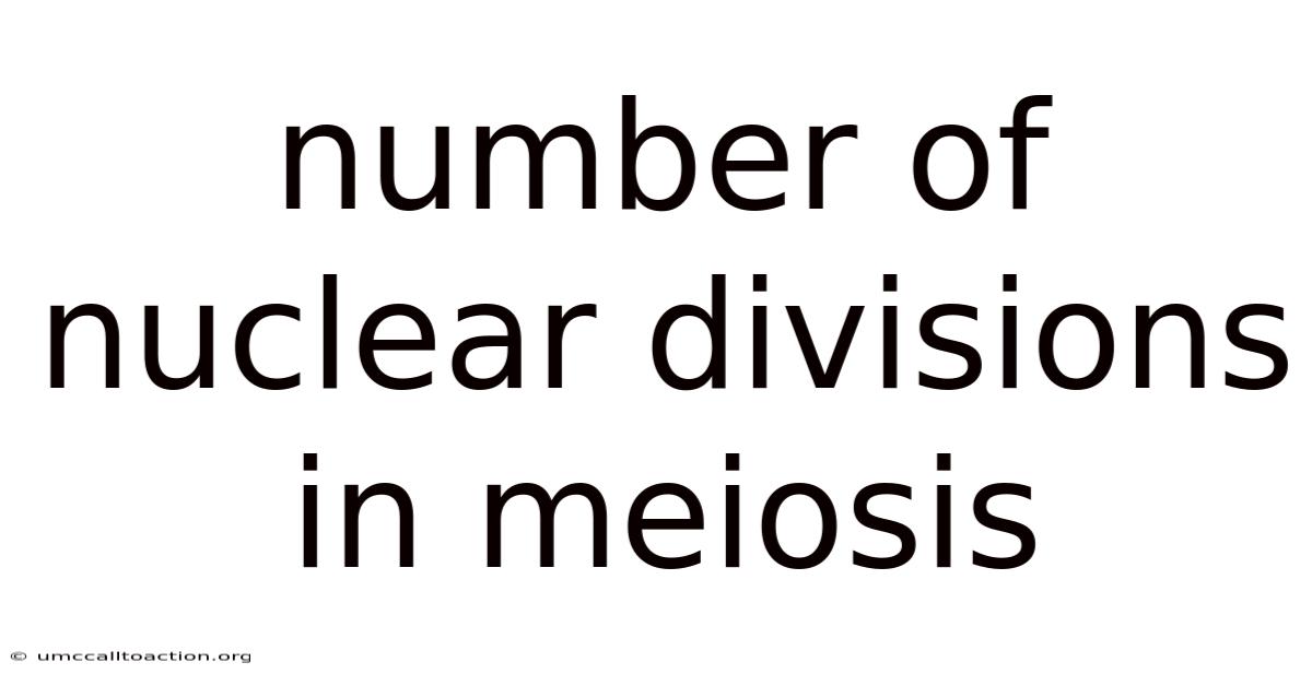 Number Of Nuclear Divisions In Meiosis