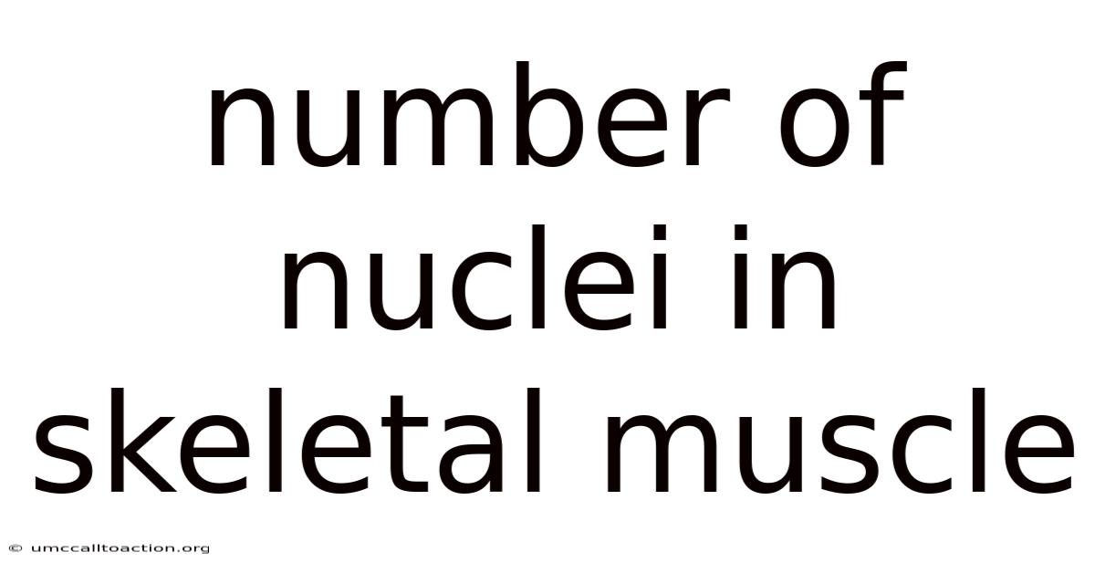 Number Of Nuclei In Skeletal Muscle