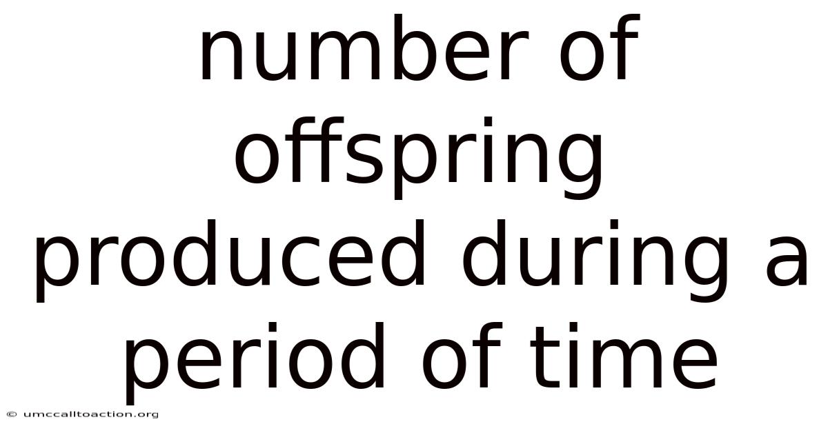 Number Of Offspring Produced During A Period Of Time