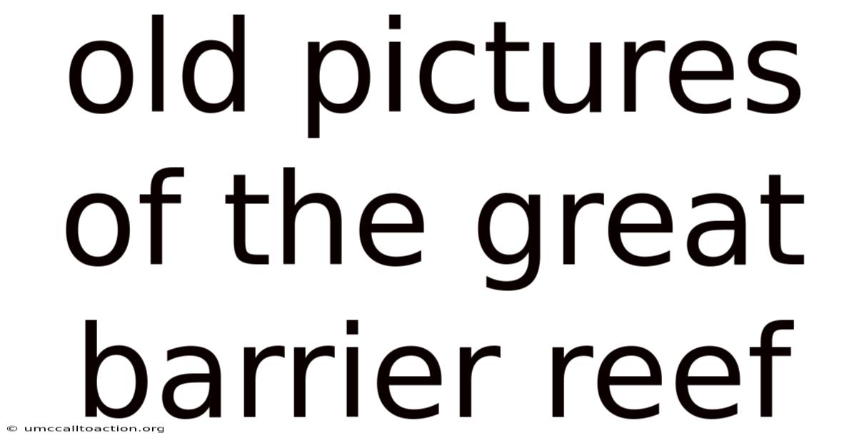 Old Pictures Of The Great Barrier Reef