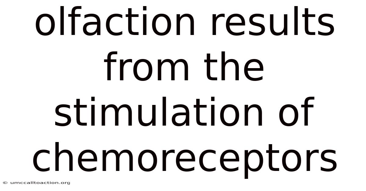 Olfaction Results From The Stimulation Of Chemoreceptors